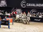 Perlage CAVALIADA Tour wraca do Poznania – wielkie jeździeckie emocje już 4–7 grudnia