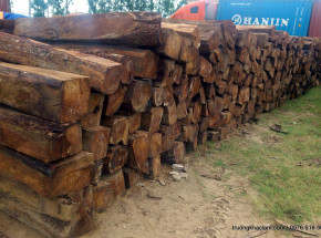 Gambia: wprowadzono zakaz eksportu drewna