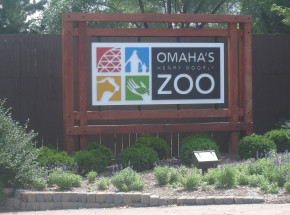 Nebraska: 200 osób zostało narażonych na zakażenie wścieklizną