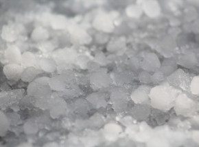 Bułgaria: protest rolników w związku z zakazem użycia armatek przeciwgradowych