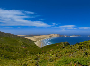 Nowa Zelandia: główny producent łososiowatych zamyka hodowle z związku z masowym wymieraniem ryb