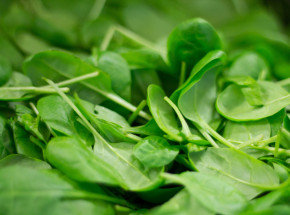 Australia: 9 osób hospitalizowanych w związku z halucynacjami po zjedzeniu szpinaku