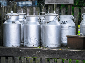 Francja: 40% mleka ekologicznego jest sprzedawane jako konwencjonalne