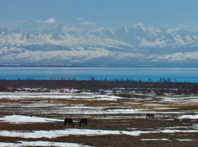 Odkryto miejsce, w którym rozpoczęła się pandemia dżumy w XIV wieku