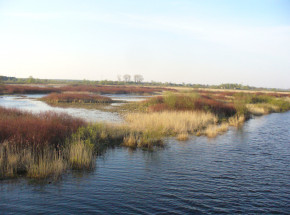 Umorzenie śledztwa w sprawie pożaru nad Biebrzą