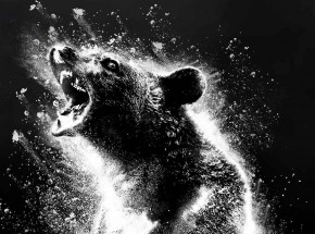 „Cocaine Bear” z nowym plakatem