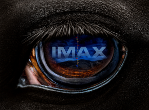 „Nope!” - horror Jordana Peele z nowym plakatem