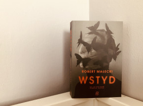 "Wstyd" Roberta Małeckiego [RECENZJA]