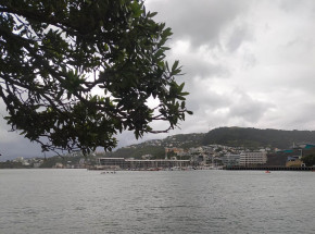 Nowa Zelandia: powodzie, rozległe zniszczenia i 225 tys. osób bez prądu przez cyklon Gabrielle