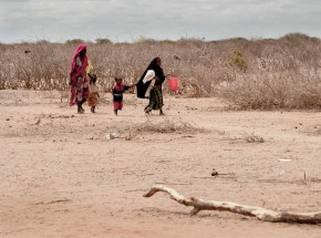 ONZ: 13 mln ludzi w Rogu Afryki doznaje głodu z powodu pogłębiającej się suszy