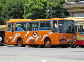 Japonia: 5-latek zmarł po kilku godzinach zamknięcia w autobusie
