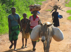 Japonia: darowizna w wysokości 3 milionów euro dla agencji ONZ w Mozambiku