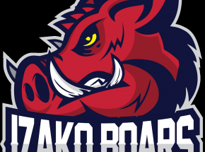 CS:GO: Avis opuszcza szeregi Izako Boars