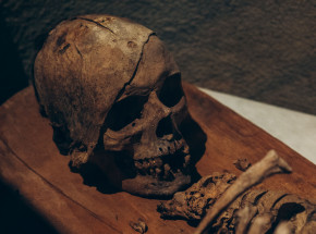Tajemnica bezgłowych szkieletów. Naukowcy badają neolityczne szczątki 