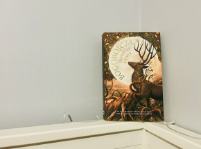 „Bogobójczyni” Hannah Kaner [RECENZJA]