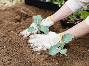 Berlin: mężczyzna zaatakował pracownice miejską. Przeszkadzało mu, że jest kobietą
