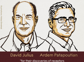 Nagrody Nobla z dziedziny medycyny przyznane. Laureaci odkryli receptory temperatury i dotyku