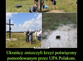 Sunia nad Horyniem - Ukraińcy ścięli krzyż 
