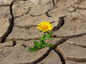 Wtorek był najcieplejszym dniem w historii pomiarów