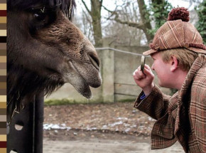 "ZOOstań Sherlockiem Holmesem", czyli śladami najsłynniejszego detektywa w łodzkim ZOO
