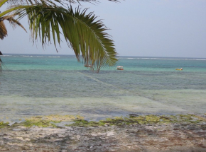 Odświeżony singiel Grzegorza Turnaua i Sebastiana Karpiela-Bułecki