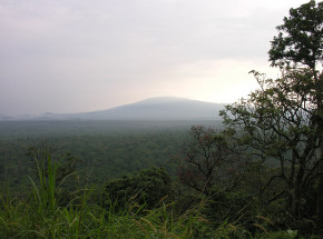 Demokratyczna Republika Konga: zabito sześciu strażników Parku Narodowego Wirunga