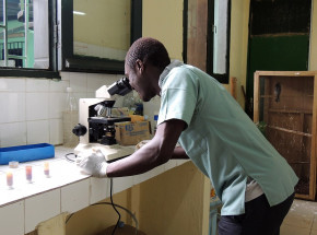 Wybrzeże Kości Słoniowej poradziło sobie ze śpiączką afrykańską