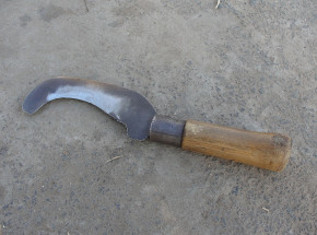 Indie: nastolatek aresztowany za ścięcie siostry