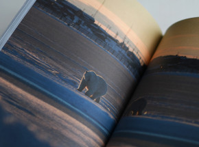 Brr, jak zimno - recenzja "Alaski" Adama Hadasia