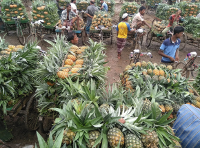 Tajwan: apel do obywateli o jedzenie „ananasów wolności” po zakazaniu importu przez Chiny