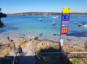 Chile: 4244 ton łososi hodowlanych padło ofiarą trujących alg