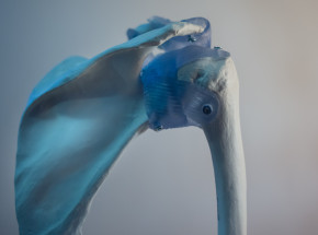 FlexiOss – sztuczna kość