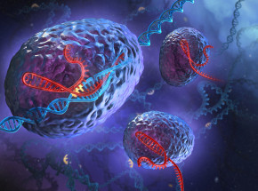 Jak zatrzymać proces śmierci komórkowej? Naukowcy już nad tym pracują