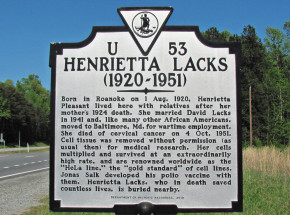 WHO honoruje Henriettę Lacks, kobietę, której komórki posłużyły nauce