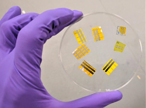 Polska liderem w leczeniu SMA? Siedem lat programu lekowego przynosi imponujące efekty