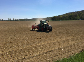 Polska żywność bije rekordy eksportu, ale koszty produkcji będą rosły