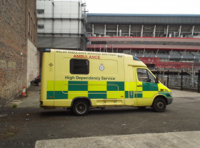 Walia: 10-latek zabity przez psa