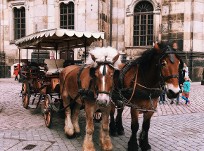 Dorożka bez woźnicy pędziła przez ulice Krakowa
