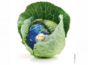 Dzień Ziemi 2023 w PAN Muzeum Ziemi