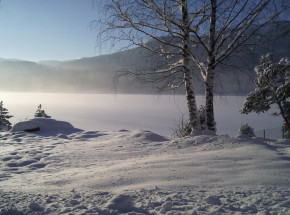 Tonący pies uratowany dzięki strażakom