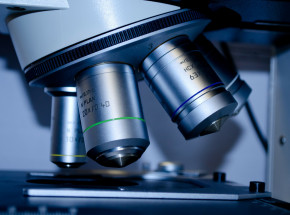 Ośmioro polskich naukowców zostało laureatami ERC Starting Grant