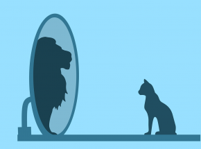 Osoby narcystyczne odnoszą większy sukces w crowfundingu