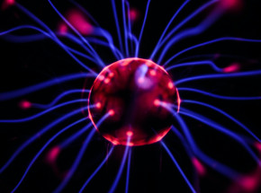 Odkryto neurony odpowiedzialne za rywalizację