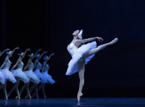 GALA BALETOWA NA BIS online