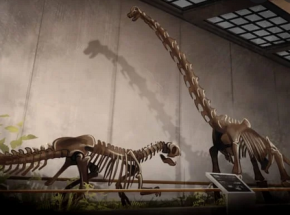 Pyramid Games pnie się w górę. Niespodziewany sukces symulatora paleontologa