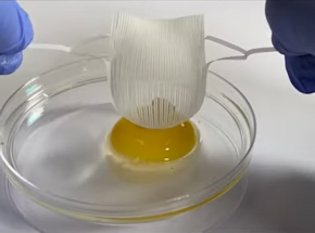 Chwytaki powstałe z inspiracji sztuką kirigami są wystarczająco delikatne by podnieść żółtko