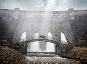 Świat oczami osła w zwiastunie nowego filmu Jerzego Skolimowskiego