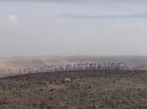 Tłum nagich ludzi zwraca uwagę na skutki zmian klimatycznych