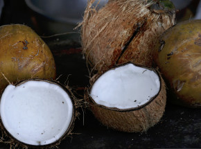 Meksyk: odkryto 300 kg fentanylu w kokosach