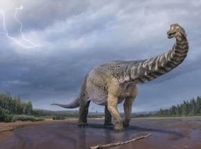 Nowy gigantyczny gatunek dinozaura odnaleziony w Australii